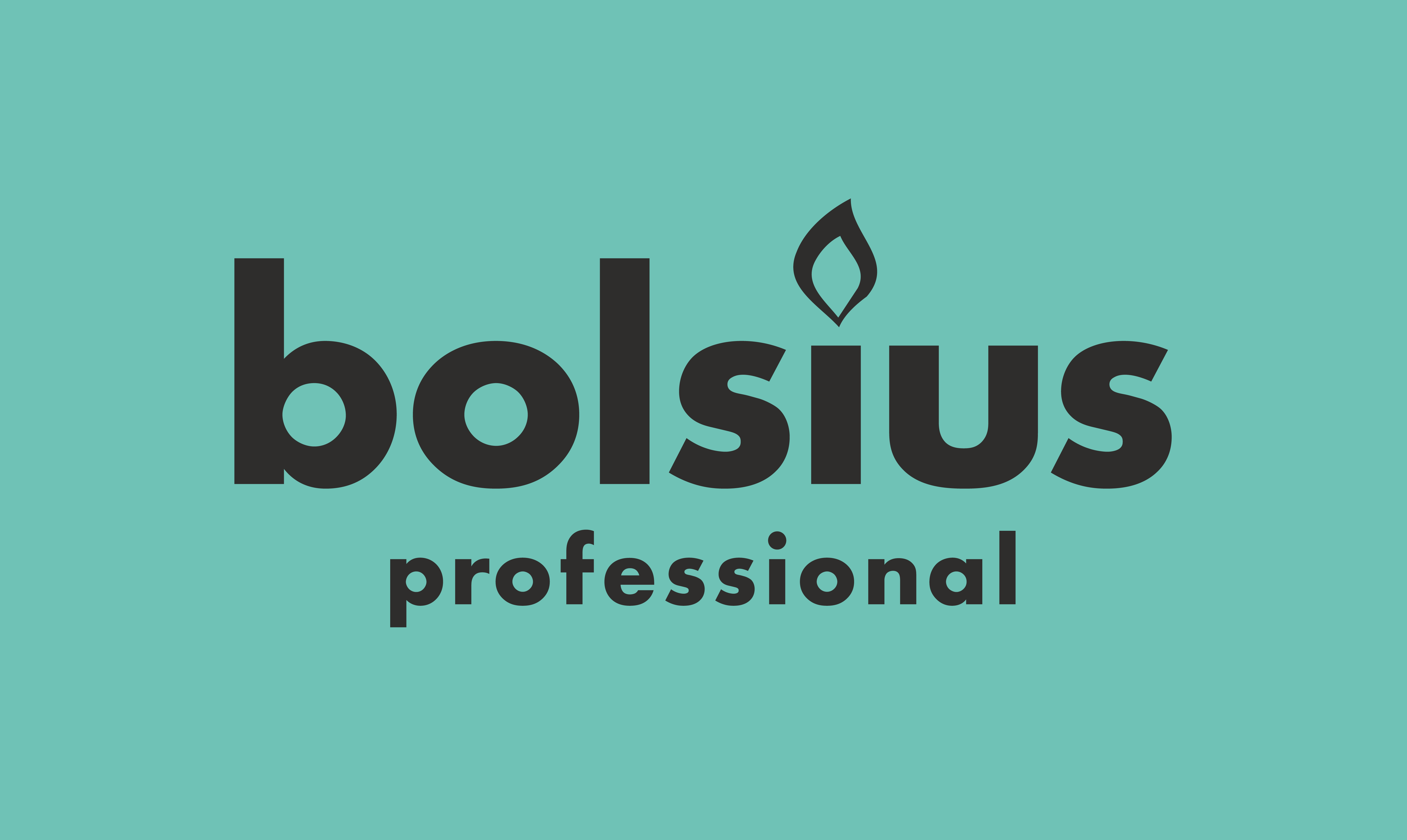 BOLSIUS PROFESSIONAL