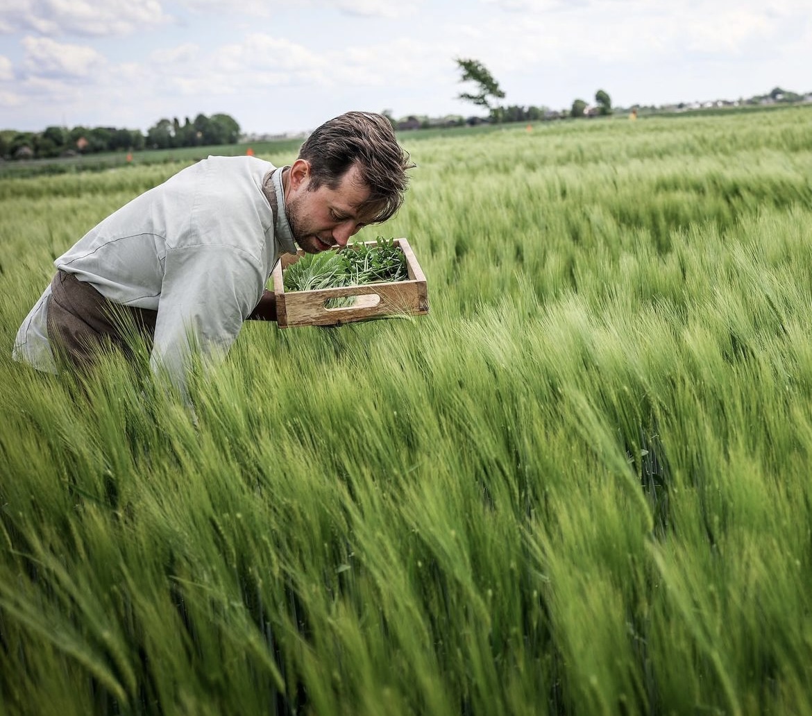 DE DYCK, EURO-TOQUES NEDERLAND, GROENE STER