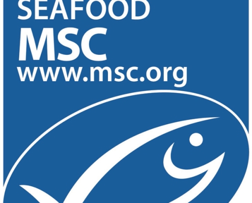 Duurzaam gevangen vis - MSC keurmerk vis